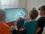 Птичьи домики