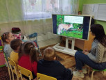 По следам диких животных
