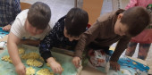На птичьем дворе...
