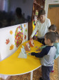 В мире животных