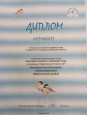 Муниципальный этап областного конкурса "Покормите птиц"