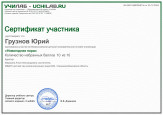 Всероссийская детская познавательная онлайн-олимпиада "Новогодняя пора"