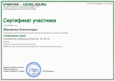 Всероссийская детская познавательная онлайн-олимпиада "Новогодняя пора"