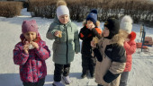 Масленица идет - блин да мед нам несет