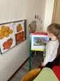 День апельсинов и лимонов