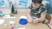 Международный день белого медведя