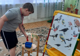 Птицы в гнездышках 