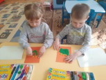 «Первоцветы».