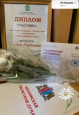 Городской конкурс «Семья года».