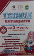 «Готов к труду и обороне»