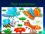 Мир насекомых