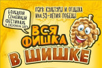 Семейный фестиваль "Вся фишка в шишке"