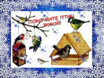 Акция "Покормите птиц зимой"