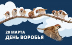 День воробья