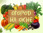 Весенний огород на окне