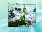 День подснежника
