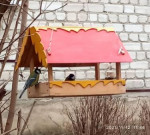 Акция "Покормите птиц"