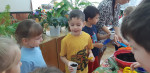 "Эколята - молодые защитники природы"