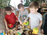 "Огород на подоконнике"