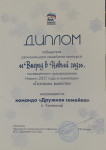 Региональный конкурс "Вперед в Новый год"