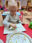 «Зиновий –синичник» 