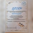 Поздравляем призеров Поздравляем призёров муниципального этапа областного конкурса "Покормите птиц". 