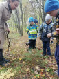 Экскурсия в осенний парк