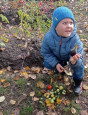 Огород для детей