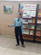 Солнечный эльф