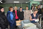 Единая модель профессиональной ориентации - профориентационный минимум