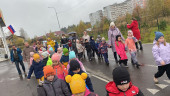 Всероссийский день ходьбы