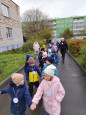 Всероссийский день ходьбы