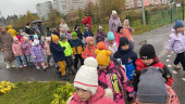 Всероссийский день ходьбы