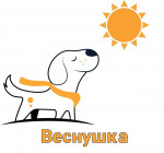 Исследовательская работа "Когда возможна дружба между кошкой и собакой""