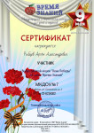 Сертификат участника Всероссийской акции "Окна Победы"