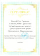 Наличие отмеченных профессиональных достижений 
