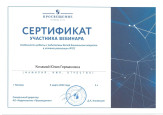 Наличие отмеченных профессиональных достижений 