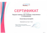 Общие сведения