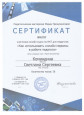 Достижения педагога Командиной С.С. в 2021-2022 учебном году