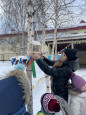 Покормите птиц зимой!