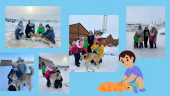 Добрые прогулки!