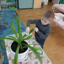 Неделя доброты
