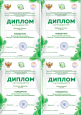 Всероссийская Олимпиада "Эколята - молодые защитники природы".