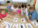 Экология "Покормите птиц зимой"
