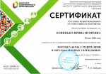 Участник межрегионального он-лайн семинара - практикума