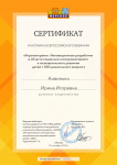 Сертификат участника Всероссийского вебинара.
