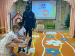 Профессиональная деятельность