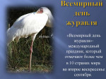 Всемирный день журавля 