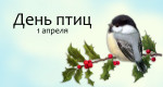  Международный день птиц