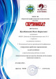 Дипломы 2023